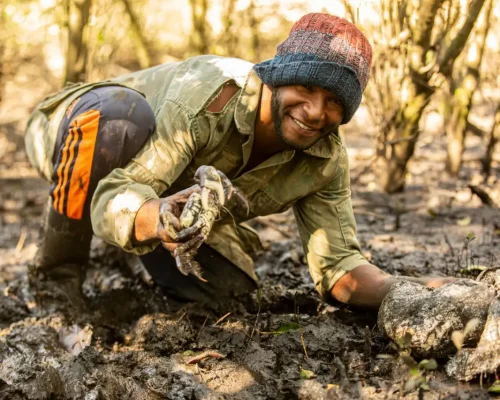 Fotos_ACAMM_fase2 (26)