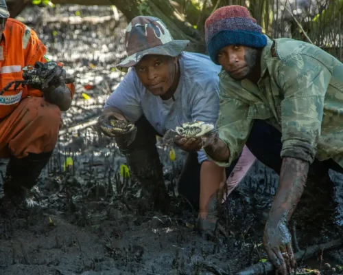 Fotos_ACAMM_fase2 (27)