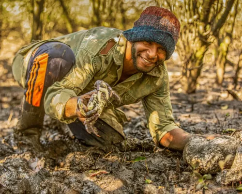 Fotos_ACAMM_fase2 (3)