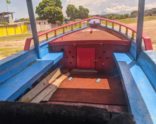 Fotos_ACAMM_fase2 (4)