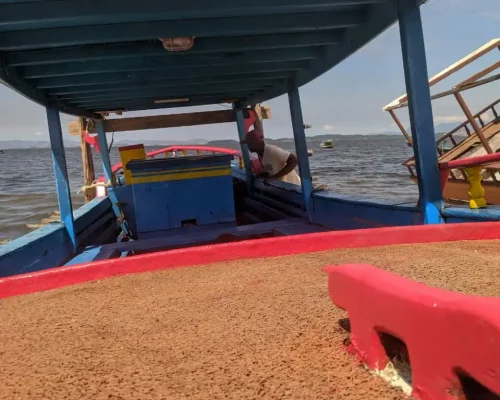 Fotos_ACAMM_fase2 (5)