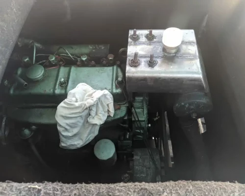 Fotos_ACAMM_fase2 (6)