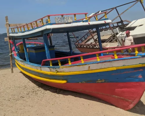 Fotos_ACAMM_fase2 (7)