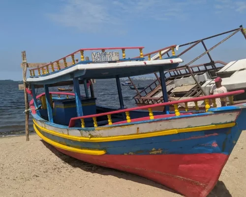 Fotos_ACAMM_fase2 (8)