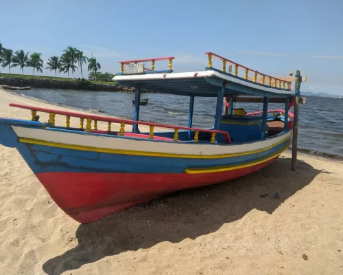 Fotos_ACAMM_fase2 (9)