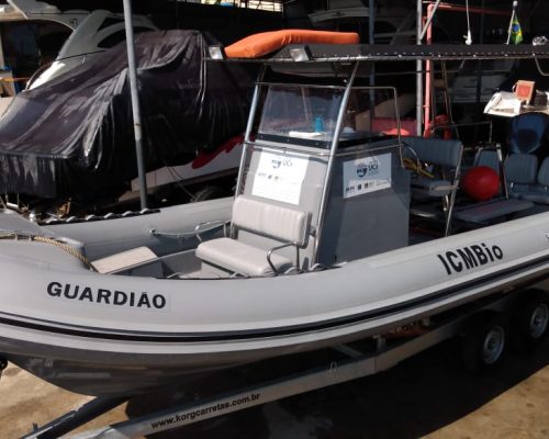 Guardião Bote (5)