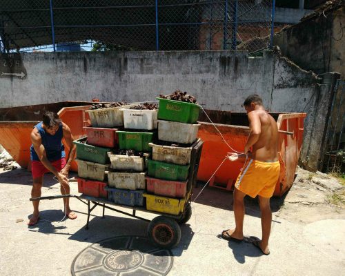 IMG_20210119_114514533