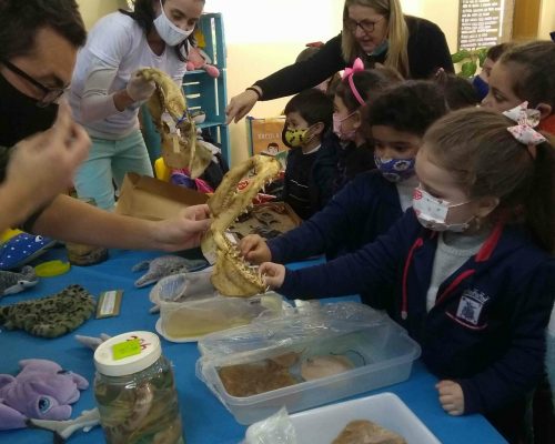 IMG_20220802_151857882