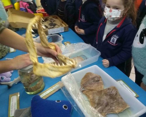 IMG_20220802_151920003