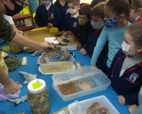 IMG_20220802_152021346