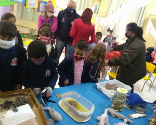 IMG_20220802_153151112