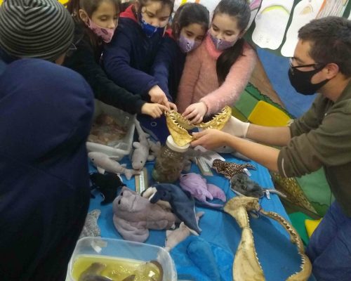 IMG_20220802_164026005