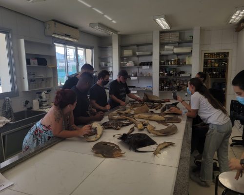 Imagem do WhatsApp de 2023-04-28 à(s) 22.39.39 (2)