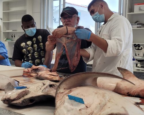 Imagem do WhatsApp de 2023-04-28 à(s) 22.39.39 (4)