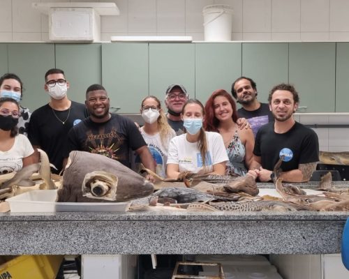 Imagem do WhatsApp de 2023-04-28 à(s) 22.39.39