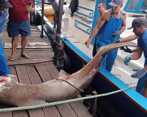 Imagem do WhatsApp de 2023-04-28 à(s) 22.42.02 (2)