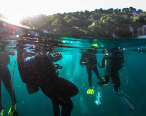 Mergulho para busca de imagens subaquáticas para documentário - Ilha dos Papagaios-Cabo Frio. Foto de Eduardo Galdieri