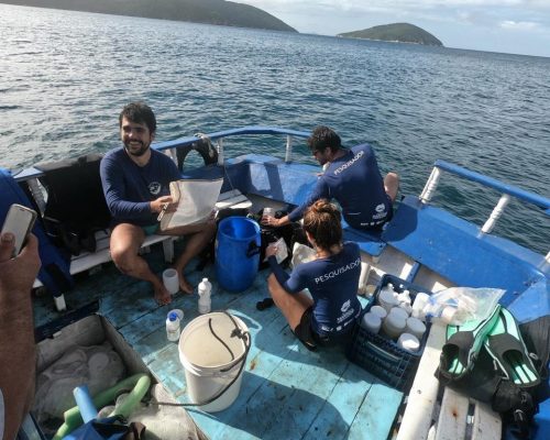 Monitoramento bentos inconsolidado - Arraial do Cabo