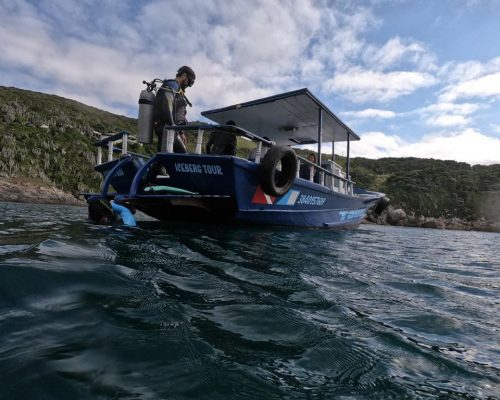 Monitoramento biodiversidade marinha - Arraial do Cabo