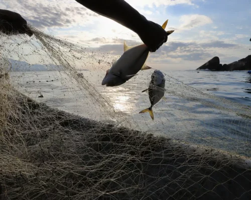 Mulheres-Ativas-f2 (8)