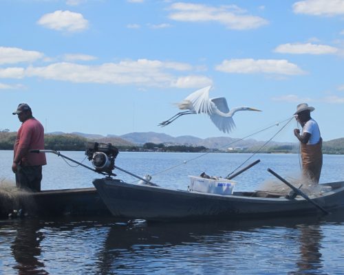 Pesca de curral - Baia de Guanabara