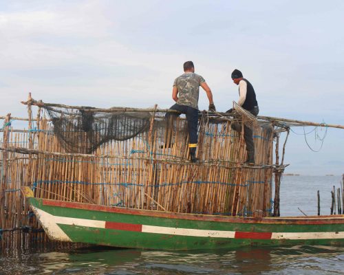 Pesca de curral - Baia de Sepetiba 1