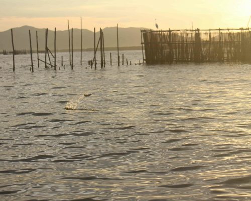Pesca de curral - Baia de Sepetiba