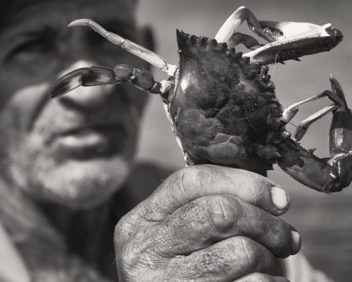 Pescador de siri da APA_Crédito da imagem - Luiz Bhering
