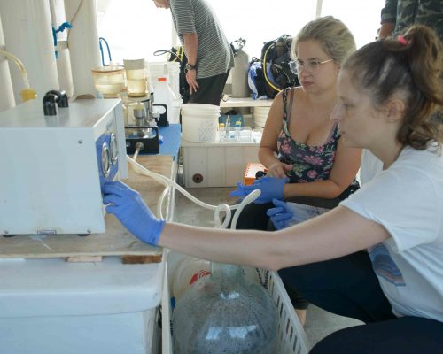 Refúgio de Vida Silvestre do Arquipélago de Alcatrazes e Estação Ecológica Tupinambás - Leo Francini (66)