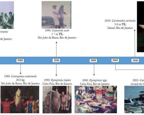 Resgate histórico da pesca - (Projeto Enfoque ecotrófico)
