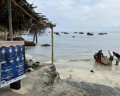 Sensibilização de pescadores em Barra de Guaratiba 14.08.22_Caio Cutrim