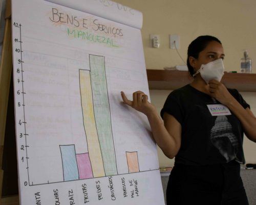 Usos dos Manguezais - Raíssa Celina_Paquetá