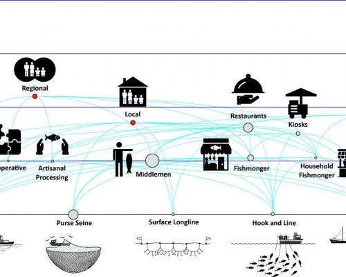 Value Chain Norte Fluminense - (Projeto Enfoque ecotrófico)