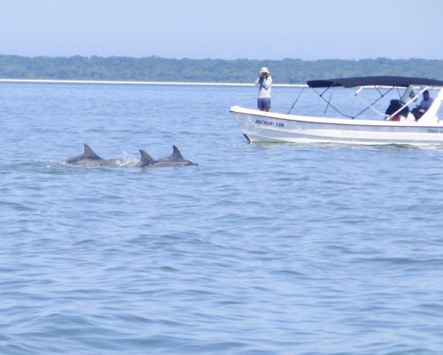 WhatsApp Image 2022-03-31 at 16.03.38 (4)