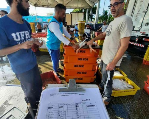 WhatsApp Image 2022-06-20 at 23.08.11 (1)