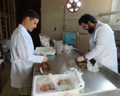 WhatsApp Image 2022-12-07 at 14.22.54