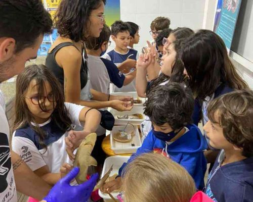 WhatsApp Image 2022-12-20 at 01.46.29 (1)