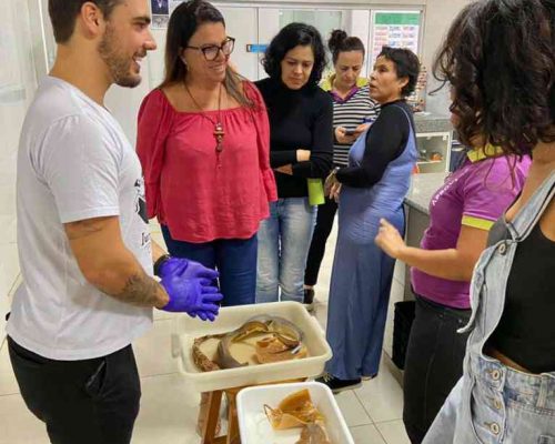 WhatsApp Image 2022-12-20 at 01.46.29