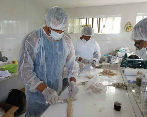 curso de Beneficiamento de Pescado Resex Itaipu