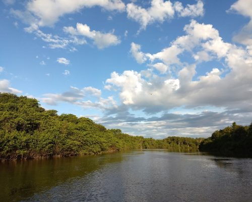 d07e1fb9-66c1-49ea-8689-df648b055da8