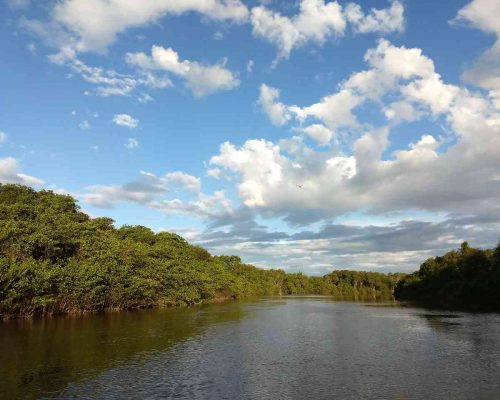 d07e1fb9-66c1-49ea-8689-df648b055da8