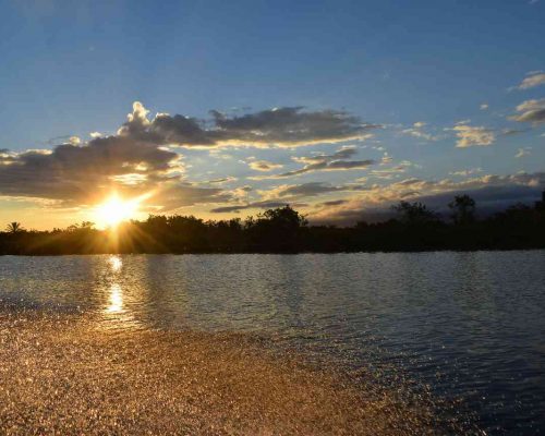 d838ea32-e6ec-406f-b3b1-2adde6769c4b